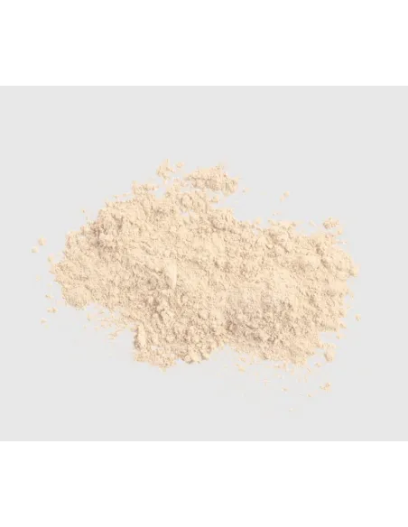 Colorescience Sunforgettable Brush-On Shield SPF 30 | Protector Solar en Brocha para una Protección Solar Cómoda y Eficaz