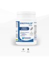 Nutergia Energyphilus Plus | Probióticos, Energía y Vitalidad