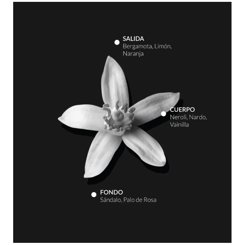 Alqvimia Esprit de Parfum Hécate | Perfume