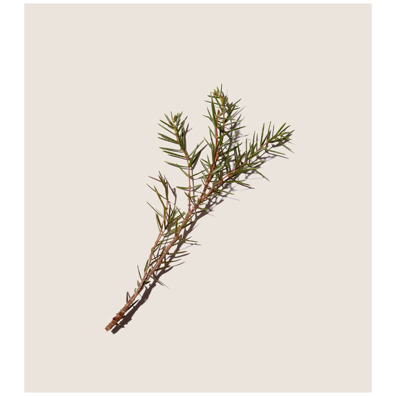 Alqvimia Aceite Manzanilla Romero Enebro | Corporal