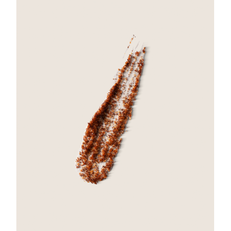 Alqvimia Exfoliante Facial Naturally Pure | Scrub