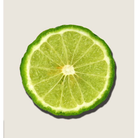 Alqvimia Aceite Esencial Bergamota | Aromaterapia