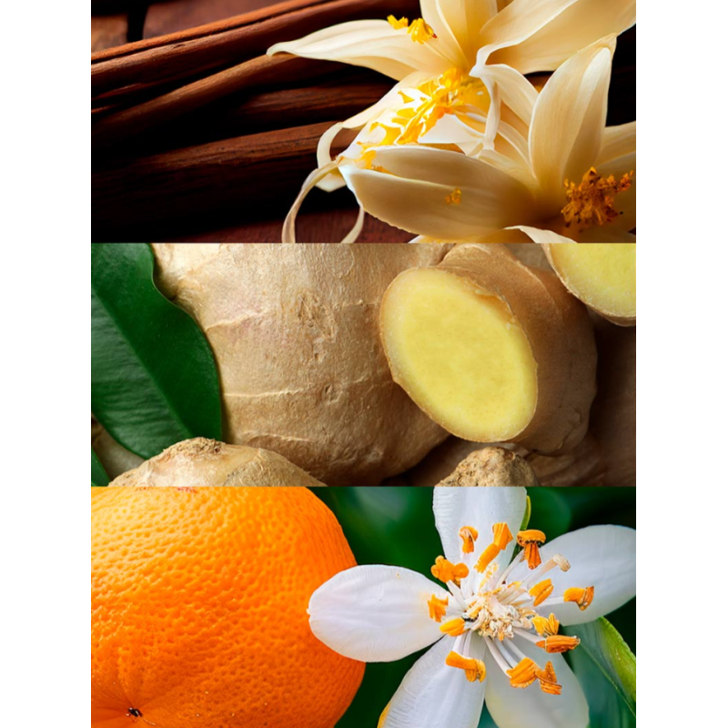 Yodeyma Insinué Perfume Mujer | Eau de Parfum