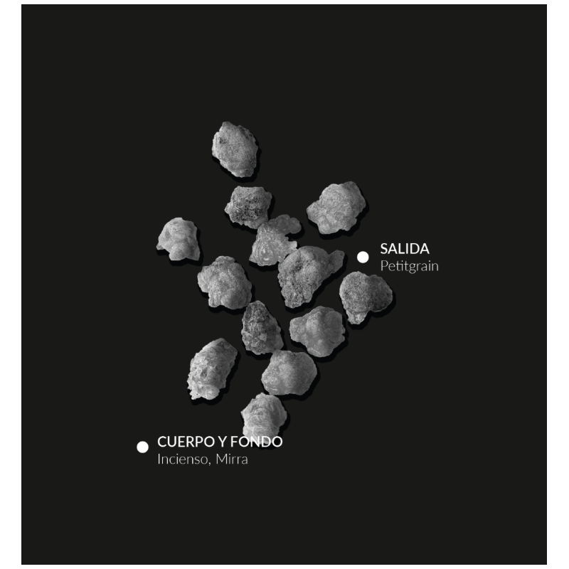 Alqvimia Reina de Egipto Colonia | Fragancia