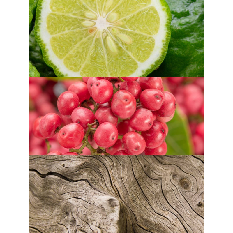 Yodeyma Caribbean | Perfume Tropical