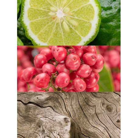 Yodeyma Caribbean | Perfume Tropical