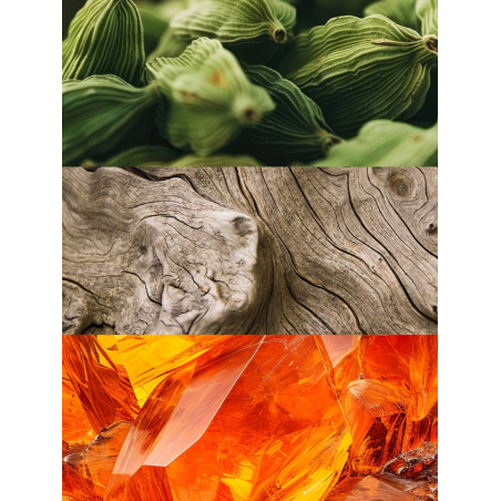Yodeyma Élet | Perfume Hombre