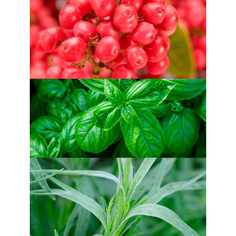 Esencia Yodeyma | Perfume Exclusivo