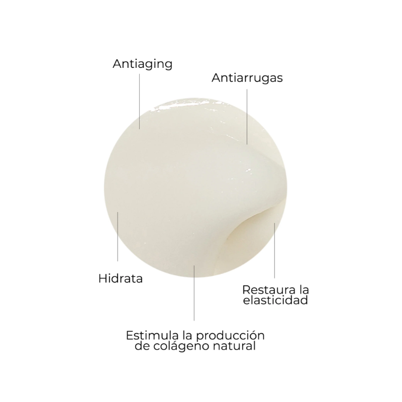 Segle Crema Restaura | Crema Reparadora e Hidratante Facial