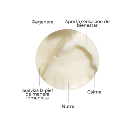 Segle Crema Skin Factor | Crema Hidratante y Regeneradora Facial