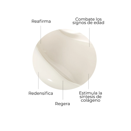 Segle Crema Cellular Plus | Crema Antiedad Regeneradora y Reafirmante