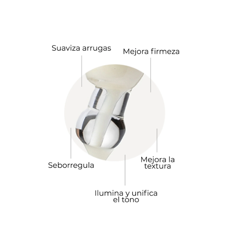 Segle Rutina Firmeza In&Out | Tratamiento Reafirmante Facial y Nutricosmético