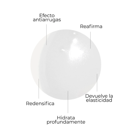 Segle Sérum Cellular Plus | Sérum Antiedad Regenerador y Reafirmante