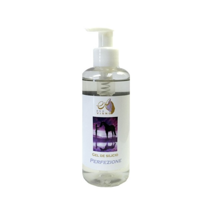 Eva Visnú Gel de Silicio Perfezione | Gel Reafirmante con Silicio Orgánico