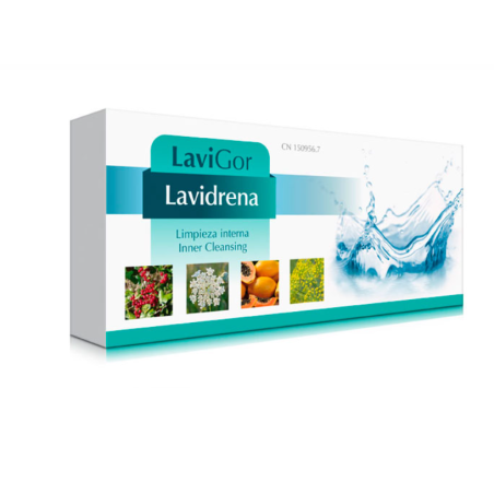 Lavigor Lavidrena 20 Viales de 10 ml | Depurativo Digestivo, Hepático, Renal e Intestinal