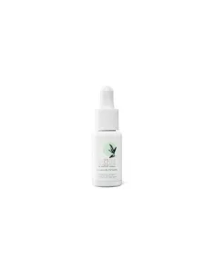 Massada Extracto de Té Verde | Tratamiento Antioxidante Purificante