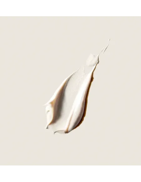 Alqvimia Balance Crema Matificante | Piel Grasa